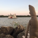 Gray Man watches the Muscatine Pearl Button paddlewheeler. #shantyboat #sunset #mississippiriver #contemplative #moody #ragdoll #river