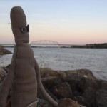 Gray Man enjoys the last rays of the setting sun. #shantyboat #sunset #mississippiriver #contemplative #moody #ragdoll #river