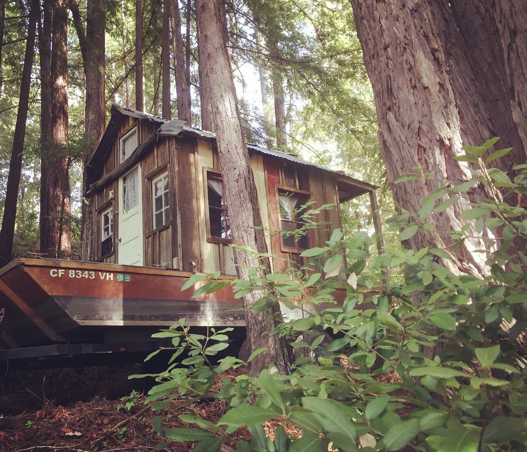 Shantyboat in the redwoods.