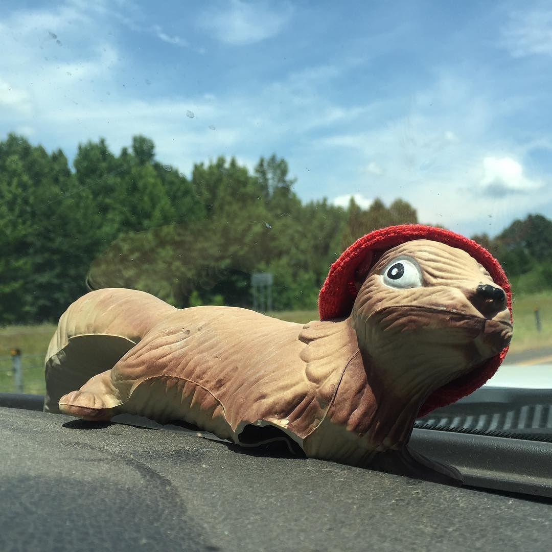 Squirsy joined us on our madcap cross-country trip with the shantyboat