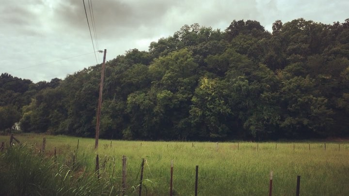 An afternoon roadtrip on Tennessee back roads