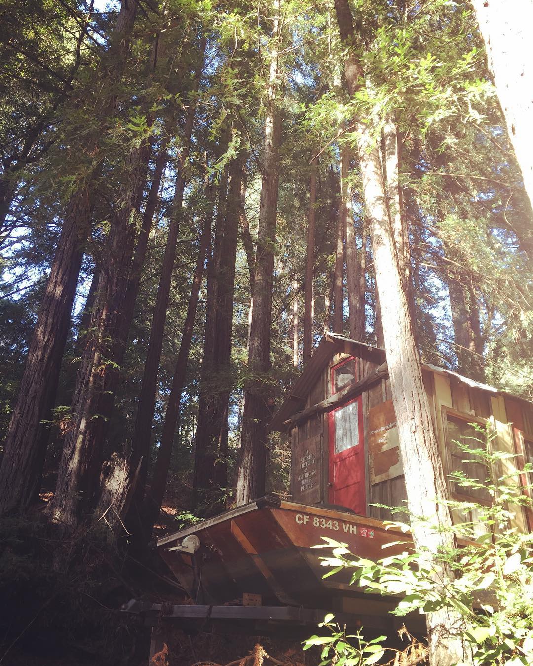 Secret History shantyboat nestled in the redwoods in California