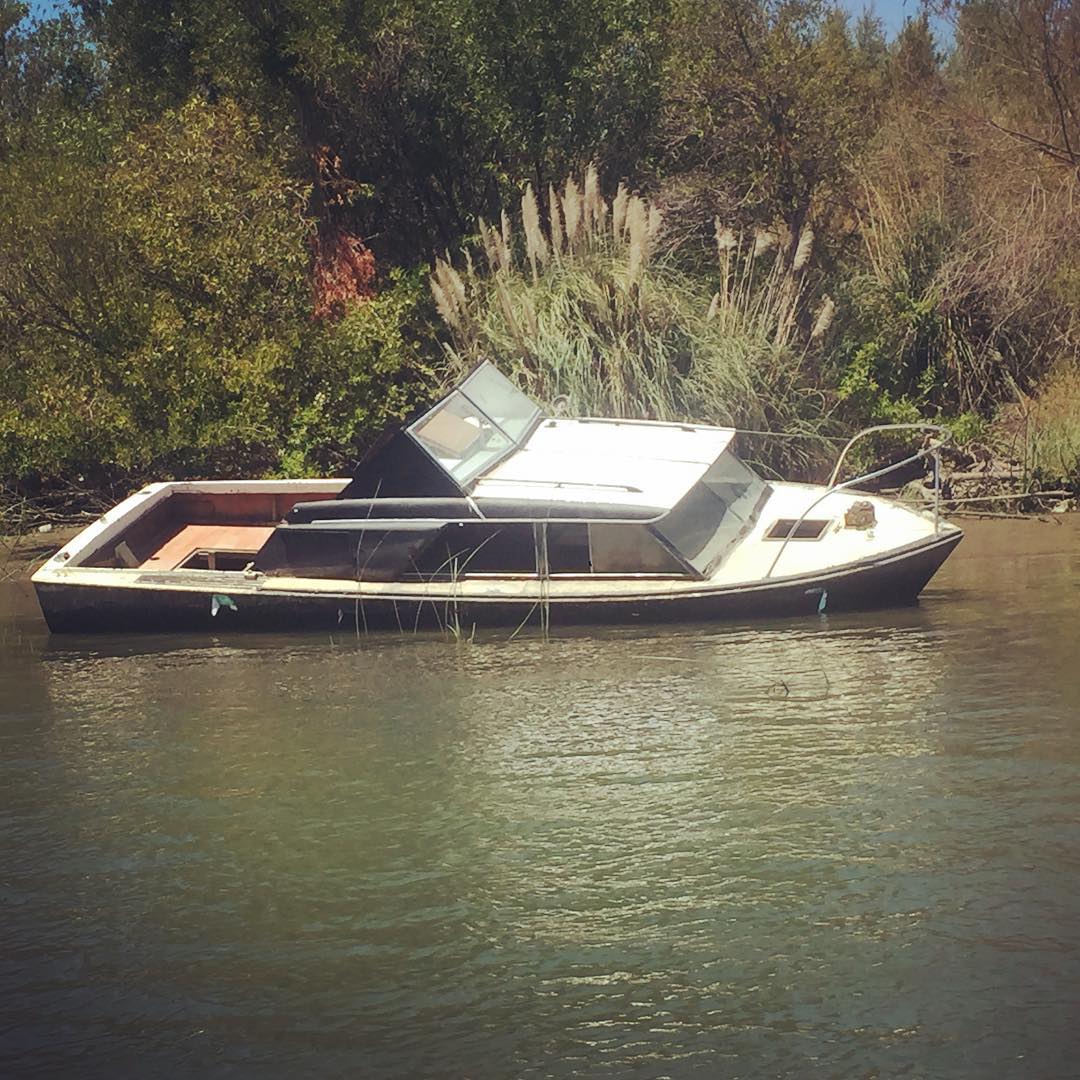 One of a surprising number of visible wrecks in the Sacramento Delta