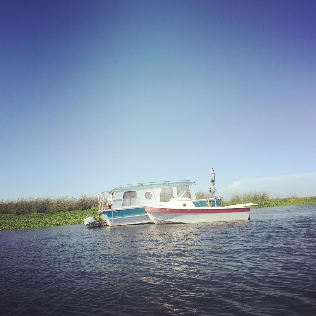 Adorable old houseboats anchored in Little Potato Slough