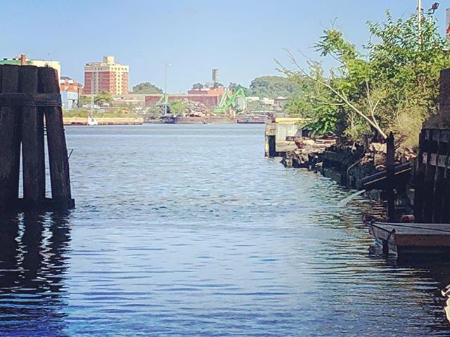 Like a lot of NYC waterways, Newtown Creek is cleaner than it has been in the last 150 years, but dirtier than it should be