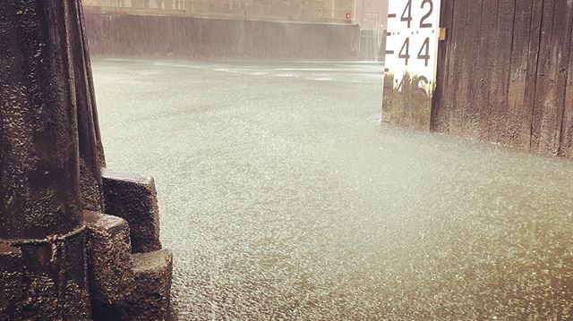 Considering that a combined sewage outflow can be triggered on Newtown Creek by 1/10 of an inch of rain, perhaps this isn’t the day for a swim in the creek