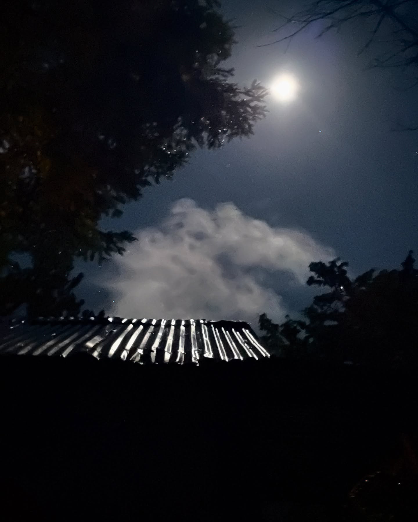 Moonrise Over Shantyboat Dotty