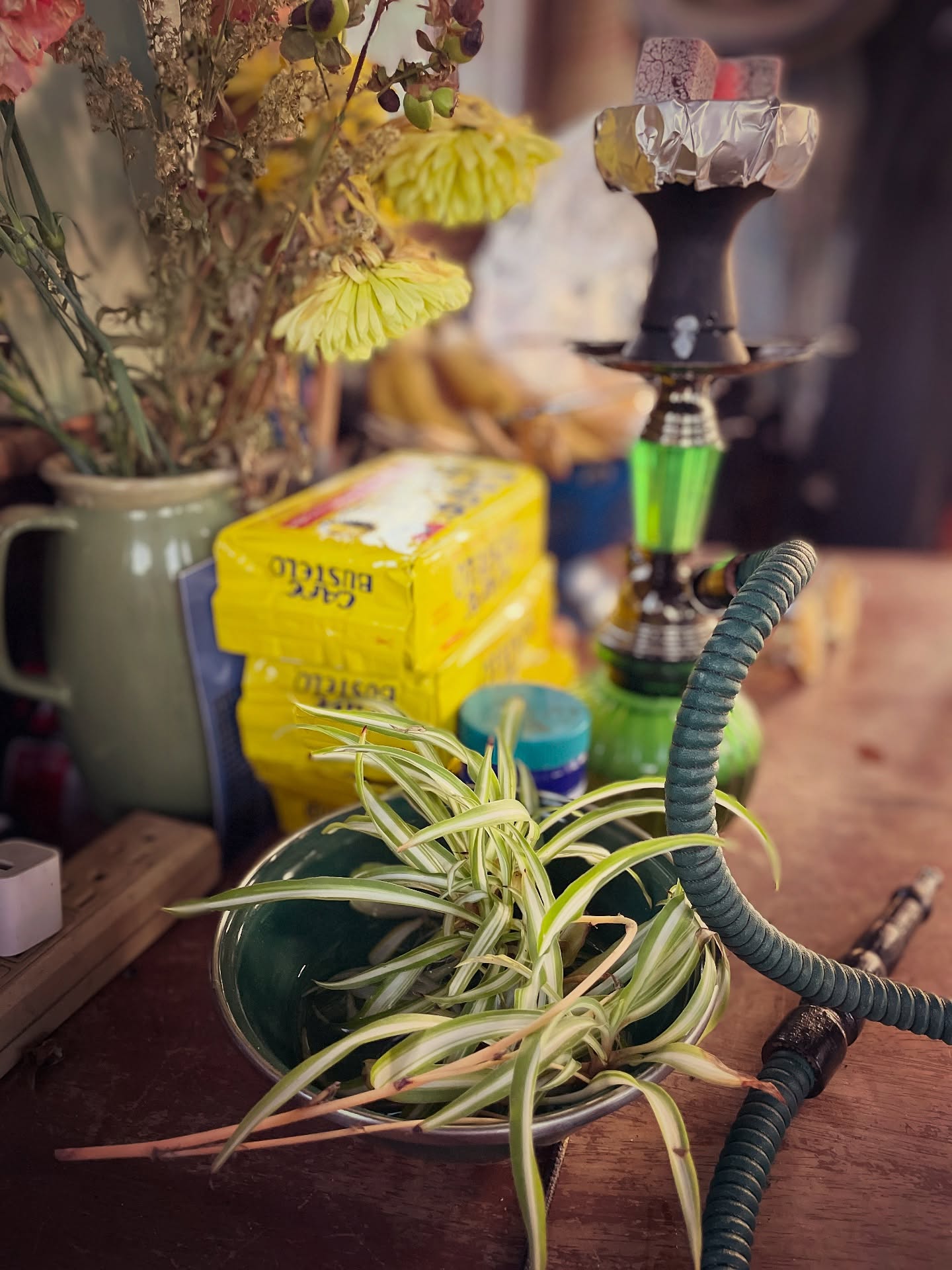 Shantyboat Still Life